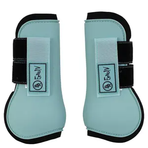 Protettore tendineo per cavalli BR Equitation Eevolv Elay image-0