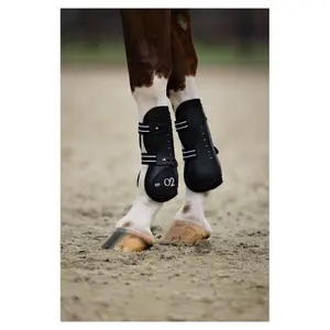 Horse tendon boots BR Equitation XO2 image-3