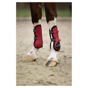 Protège-tendons pour cheval BR Equitation XO2 image-2