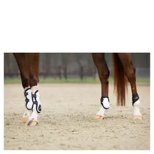 Horse tendon boots BR Equitation XO2 image-2