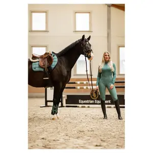 Προστατευτικά τενόντων για άλογα BR Equitation CLX XO2 image-2