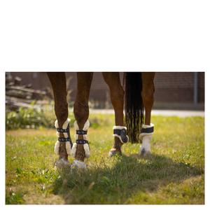 Botas de caballo abiertas BR Equitation Urban Comfort image-2