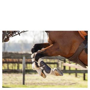 Botas de caballo abiertas BR Equitation Urban Comfort image-4