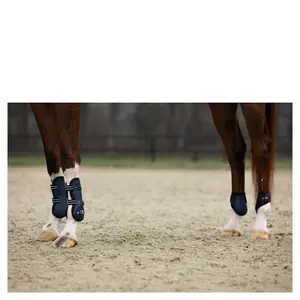Kniebeschermers voor paard BR Equitation XO2 image-2