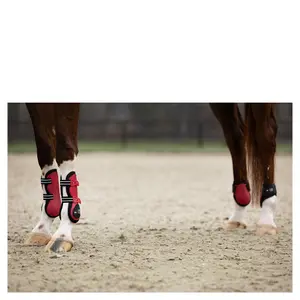 Kniebeschermers voor paard BR Equitation XO2 image-1