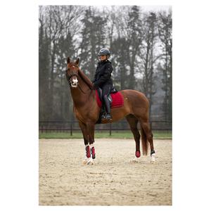 Kniebeschermers voor paard BR Equitation XO2 image-2