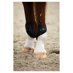 Kniebeschermers voor paard BR Equitation XO2 image-1