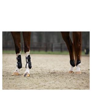 Kniebeschermers voor paard BR Equitation XO2 image-2
