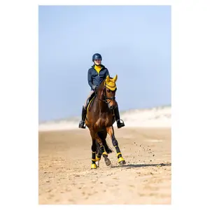 Protezioni per zoccoli alte BR Equitation Elora image-2