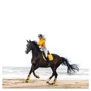 Protezioni per zoccoli BR Equitation Edgar No Turn Over Reach image-2