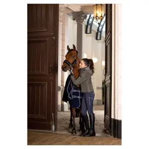 Plechová deka pro koně BR Equitation 3-EH image-1