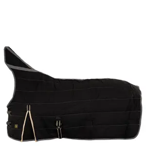 Underblanket for high-necked horses BR Equitation Classic 200g image-0