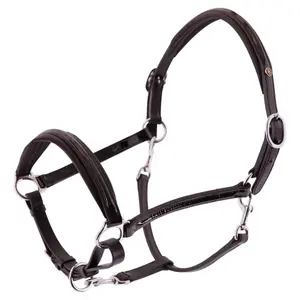 Paardenhalster van gelakt leer BR Equitation Edinburgh image-0