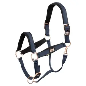 Halter for horse BR Equitation Rose Gold image-0