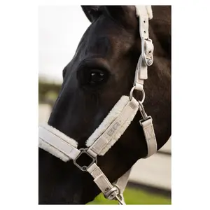 Paardentuig van polypropyleen BR Equitation Zamora image-4