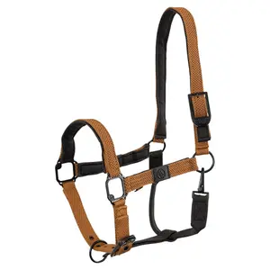 Pferdehalfter aus Leder für Ponys BR Equitation Fajah image-0