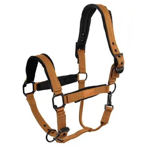 Cavallo con capestro BR Equitation Flint image-0