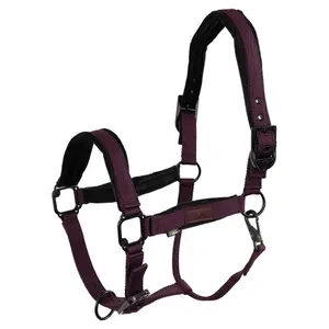 Cavallo con capestro BR Equitation Flint image-0
