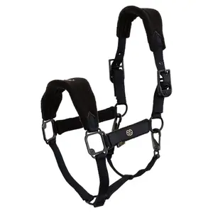 Cavallo con capestro BR Equitation Eevolv Fynn image-0