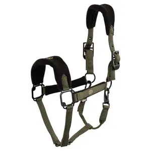 Cavallo con capestro BR Equitation Eevolv Fynn image-0