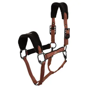 Cavallo con capestro BR Equitation Eevolv Fynn image-0