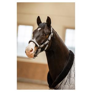 Cabestro de poni BR Equitation CLX image-1