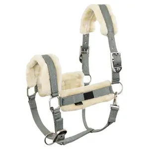 Cabresto de pele para cavalo BR Equitation Ilja image-0