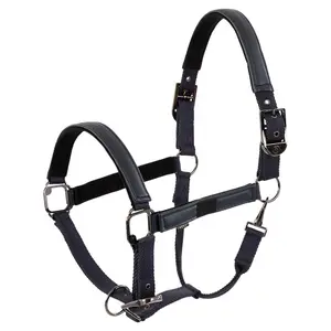 Halfter für Pferd BR Equitation Jade image-0