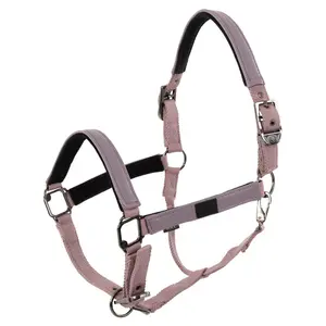 Halfter für Pferd BR Equitation Jade image-0