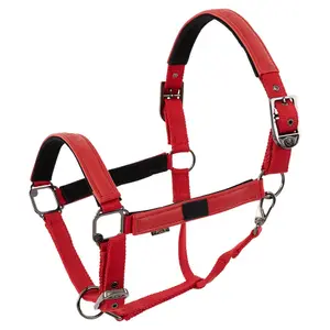 Halfter für Pferd BR Equitation Jade image-0