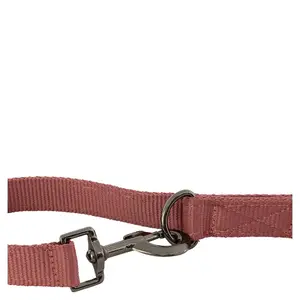 Λουρί για σκύλους BR Equitation image-1