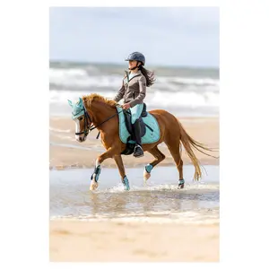 Flettenti di cavallo BR Equitation Eevolv Elay image-1