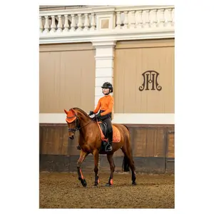 Camiseta de equitación 1/2 cremallera infantil BR Equitation Dinthe image-2