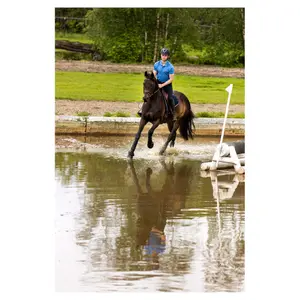 Paardrijpolo BR Equitation Patrik image-4
