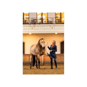 Waterdicht damesjack met lange softshell capuchon BR Equitation Daphne image-3