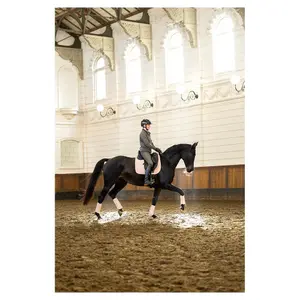 Korte damesrijjas met volledige rits BR Equitation Deborah image-2