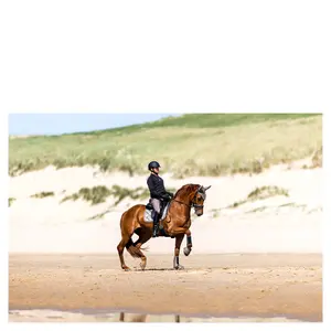 Protezioni per zoccoli alte BR Equitation Elora image-1