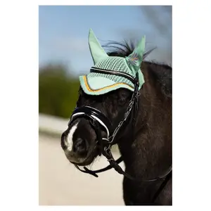 BR Reitkandare mit kombiniertem Gebiss BR Equitation Horwich image-1