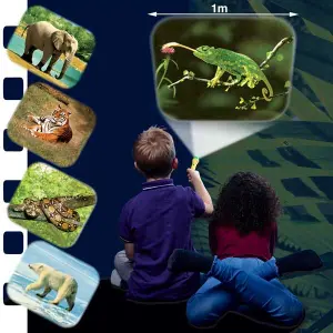 Torche et projecteur - animaux sauvages Brainstorm Toys image-1