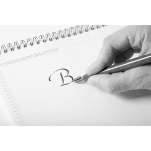 Schreibfeder Brause Bandzug (x50) image-1