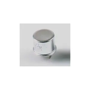 Blinkende Zentrale 2-polig Brazoline image-1