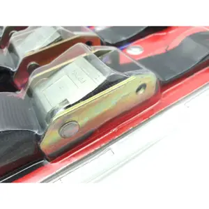 Satz von 4 Gurten mit Schlaufen Brazoline image-2