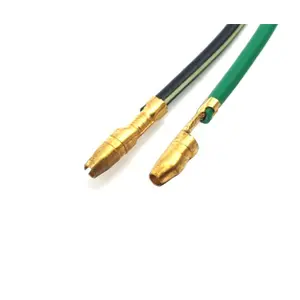 Interruptor de encendido/apagado Brazoline image-4