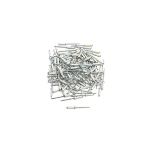 Rivets plaque immatriculation Brazoline Pop (x100) image-0