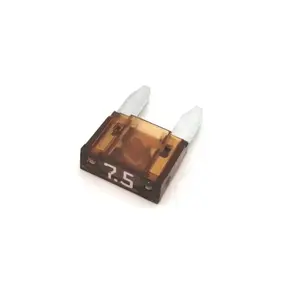 Mini fusibles Brazoline (x10) image-0