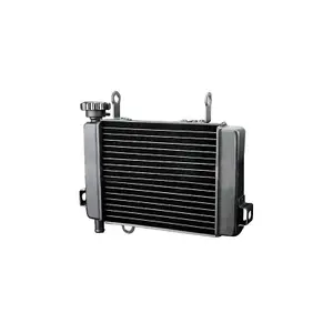 Water radiator Brazoline Honda CBR 125 (04-10) image-0