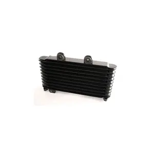 Motorcycle radiator Brazoline Suzuki GSF 600 Bandit