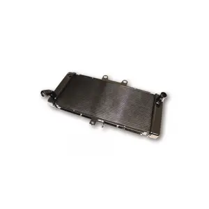 Ραδιέταιρα νερού Brazoline GSF 650 Bandit 07- image-0