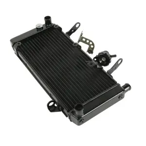 Ψυγείο μοτοσικλέτας Brazoline Suzuki Sv 1000 S 03/08 image-2