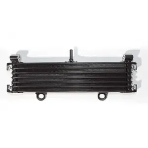 Radiatore moto Brazoline Yamaha Xjr 1300 image-0